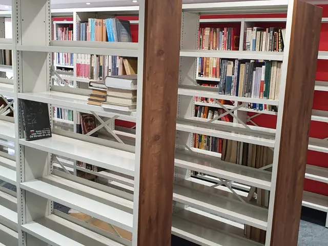 Kitaplarla dolu kütüphane rafları